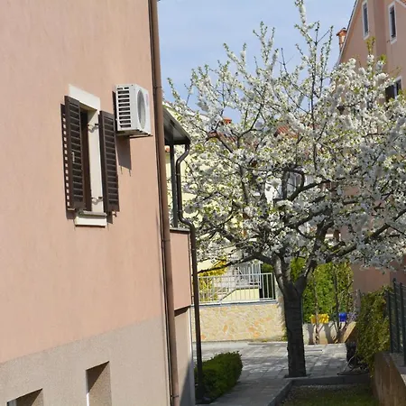 Denis & Lucija 로비니