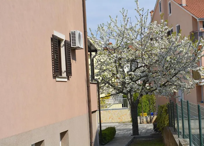 Denis & Lucija 로비니